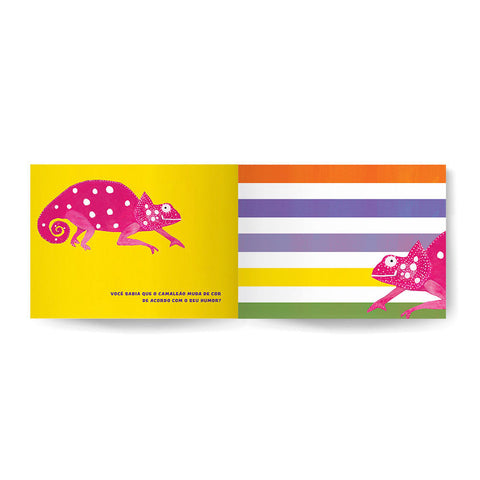 Book Brincabichos: Animals in Verse and Letters - Estrela Cultural