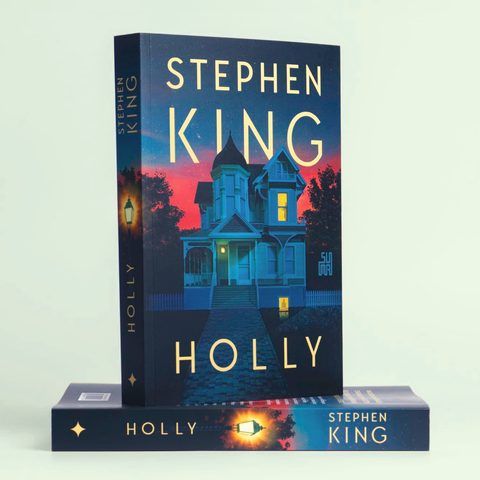 Livro Holly - Stephen King - Capa Comum