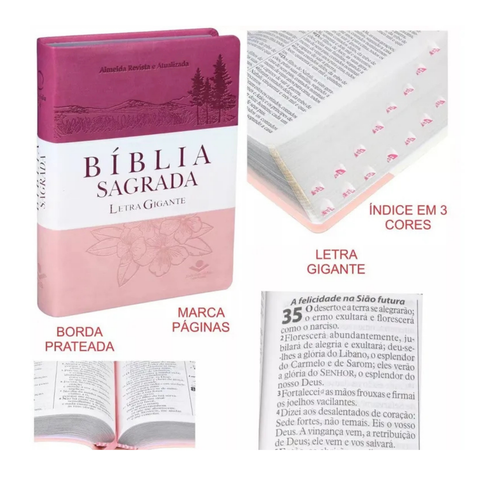 Biblia Sagrada Letra Gigante Rosa - Almeida Revisada Y Actualizada - ES-MX
