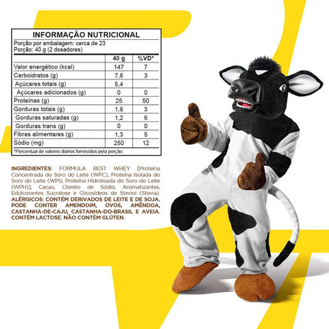 Best Whey - Toddy Chocolate Drink - Atlhetica Nutrition 450g