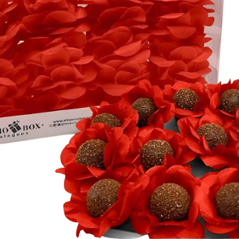 Fine Sweets Flower Shaped Silk Wrappers - 40 units Empório Box