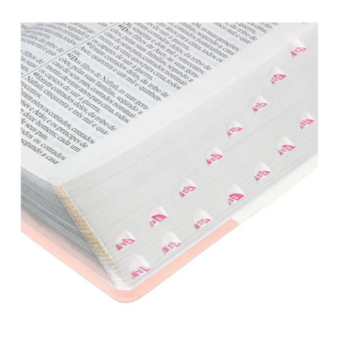 Biblia Sagrada Letra Gigante Rosa - Almeida Revisada Y Actualizada - ES-MX