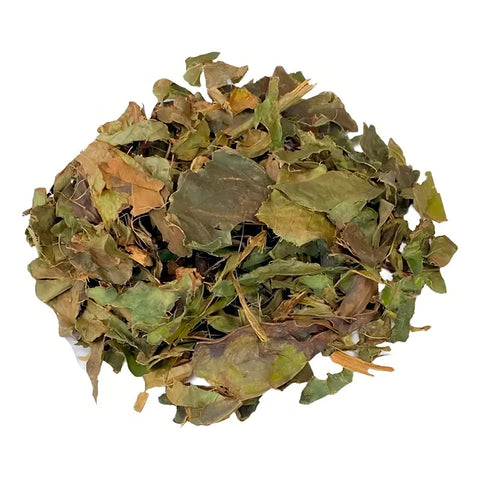 Guaco Tea Pesticide-Free 100g - Rocha Saúde