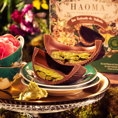 Ovo Recheado de Chocolate ao Leite com Pistache 260g Haoma