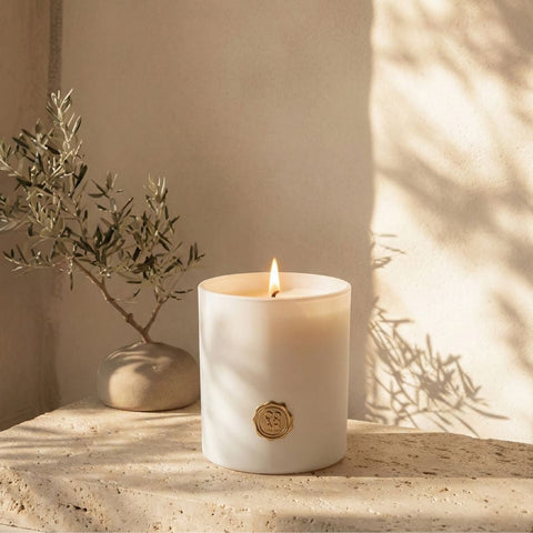Duo Inviting COAH Collection No. 01 - Candle + Home Spray - Coala