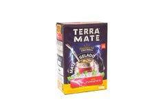 Erva Tereré Terra Mate Premium Sabor Energético 500g - MEUBRASILONLINE