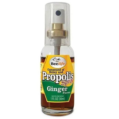 Spray Extrato de Propolis com Gengibre Beelife 30ml - MEUBRASILONLINE